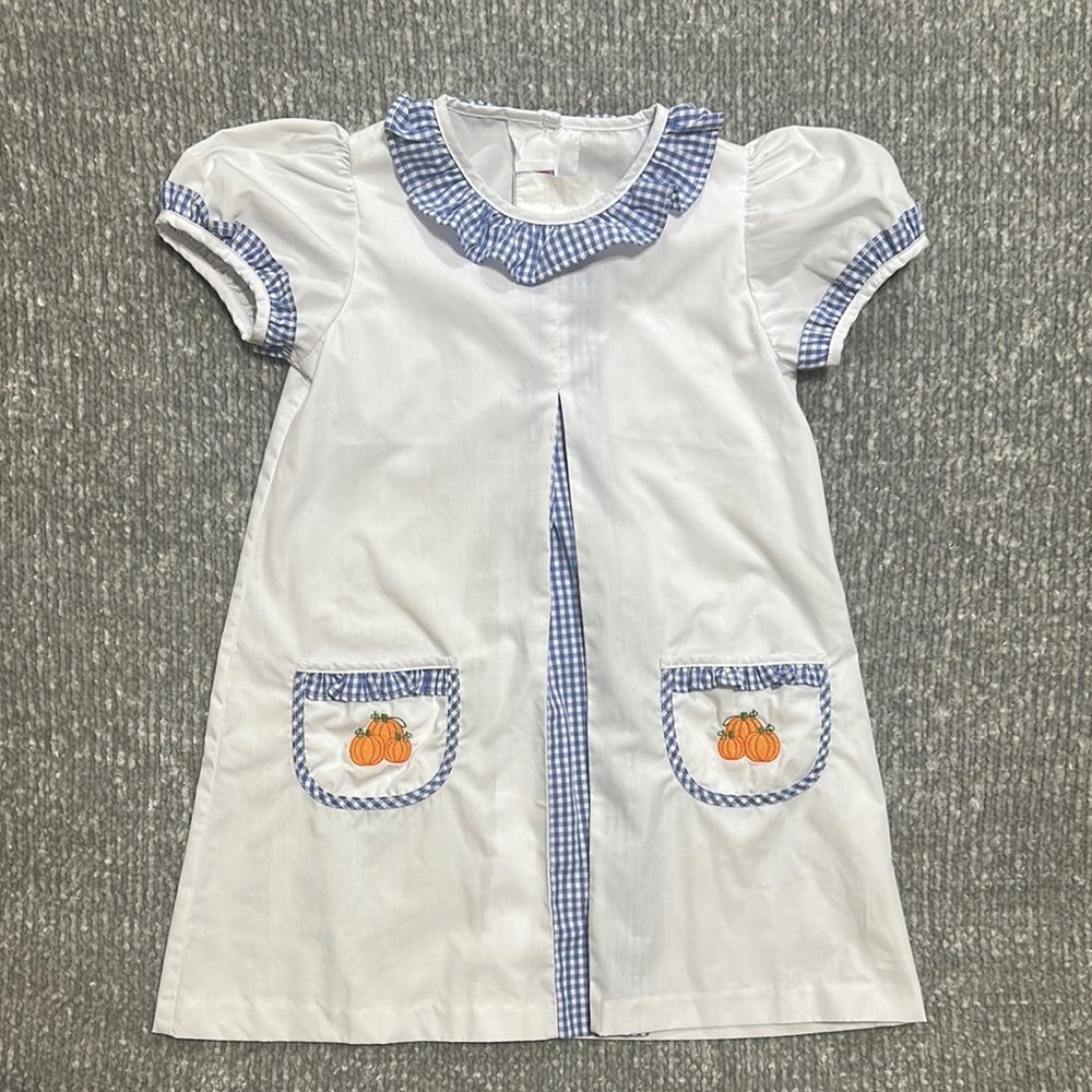 Posh pickle white and blue gingham pumpkin pocket dress 5